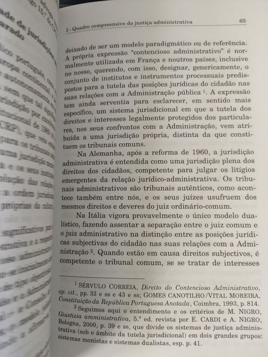 A teoria do ato e a justiça administrativa