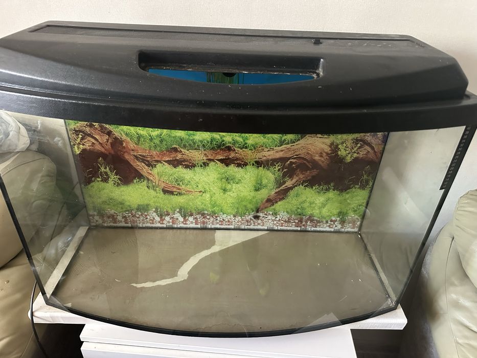 Акваріум на 140 літрів
