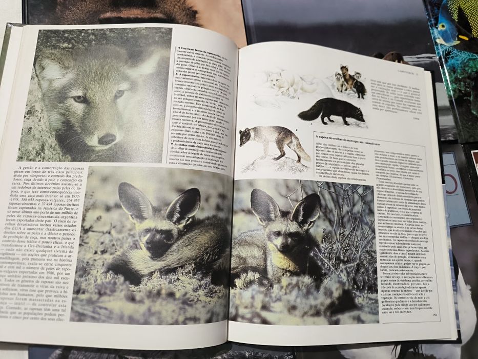 Enciclopédia Animais: 7 livros