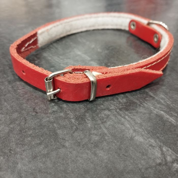 OBROŻA dla psa czerwona skórkowa szer 1,2 cm dlugosc 40 cm