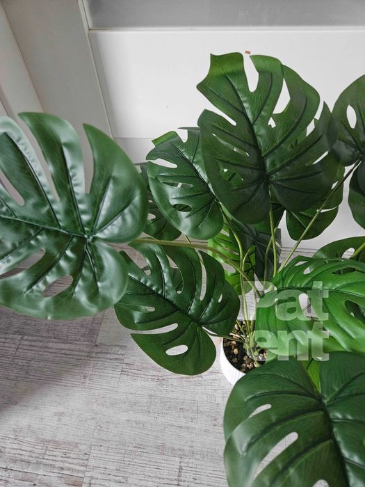 Sztuczny kwiat monstera 71 cm z doniczką ozdobna dom taras nowa