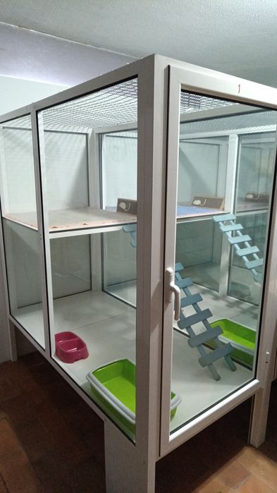 Alojamento para gatos