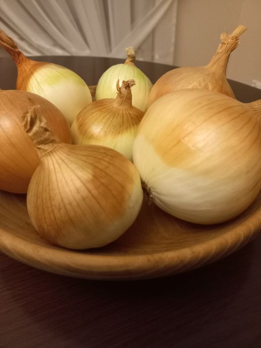 Cebula ekologiczna  10 kg