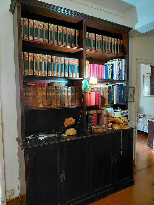 Móvel Antigo com Estante para Livros