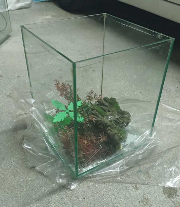 Aquário para peixes para decoração