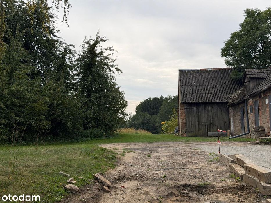 Działka budowlana 1491 m² | Mokrsko | Blisko Wielunia | Media - Widok 4