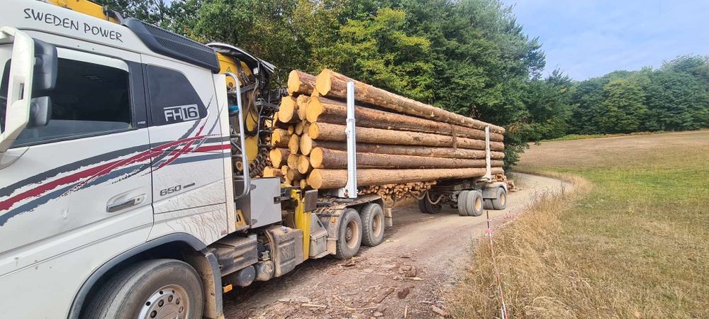 Sprzedam Volvo FH16 do drzewa ,lasu, dłużycy.