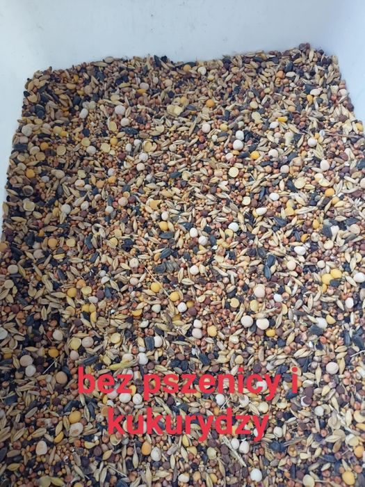 Mieszanka dla gołębi bez pszenicy i kukurydzy 20kg