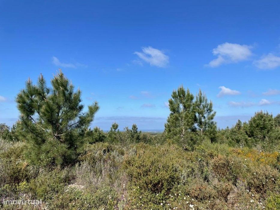 Terreno com vista mar em Melides