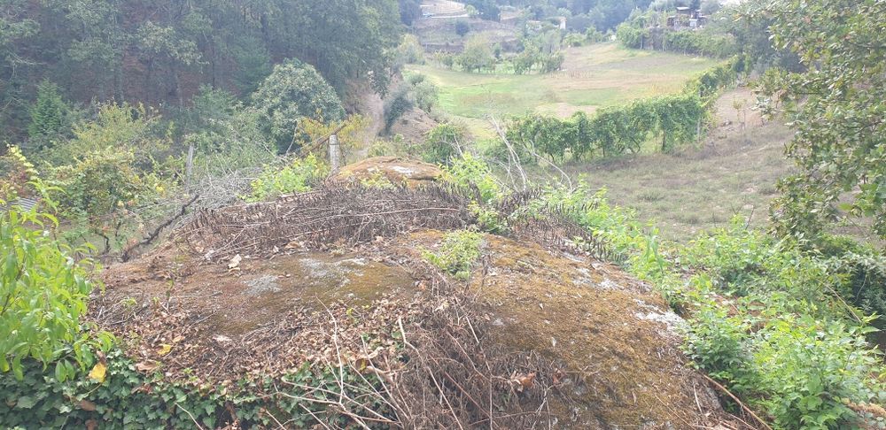 Quintinha em Amarante