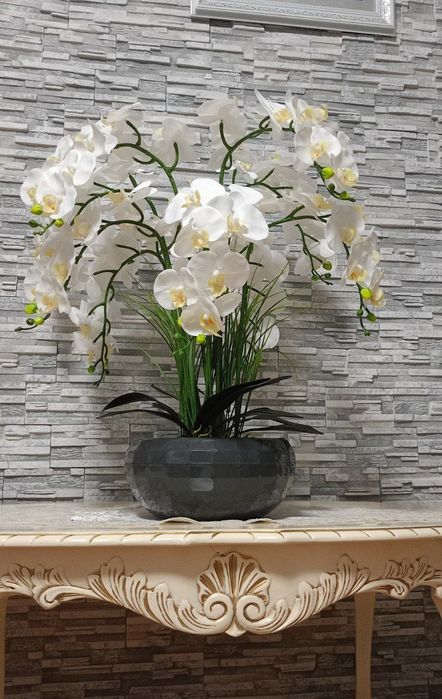 Латексна орхідея преміум якості