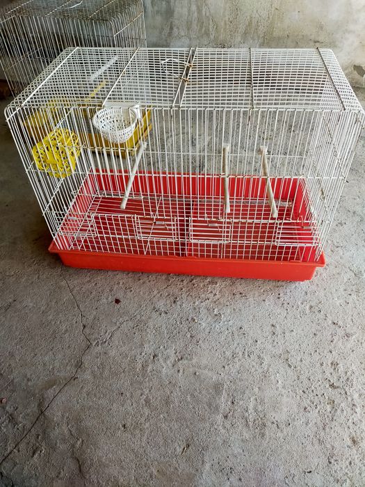 Gaiolas para passarinhos