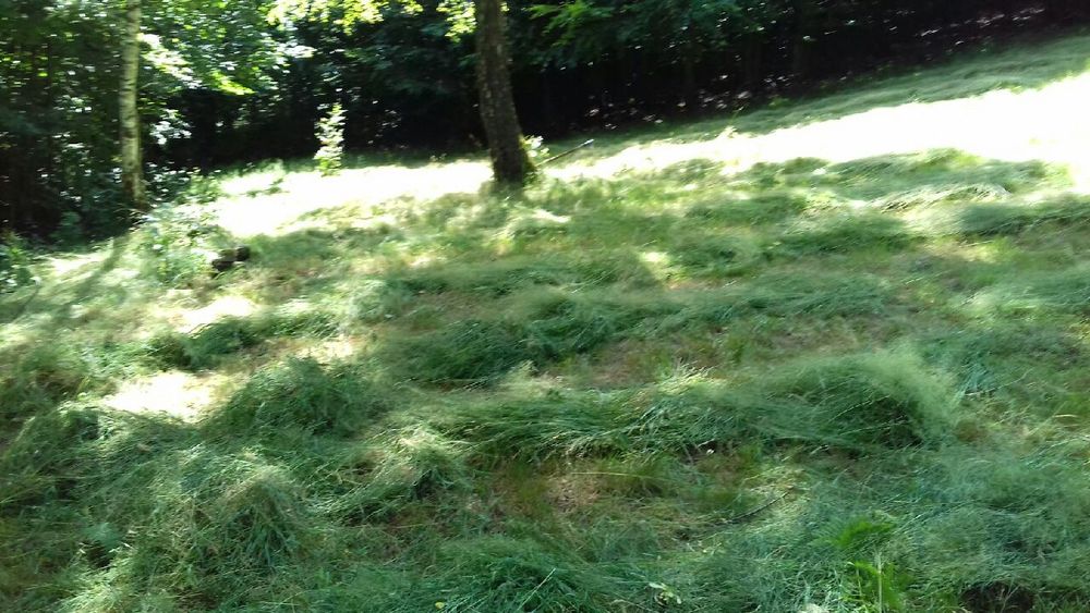 Działka rekreacyjna rolno-lesna własny kawał swiata