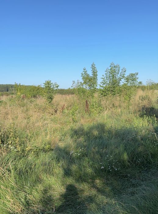 Продам земельну ділянку 2 га над річкою