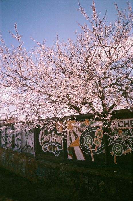 Фотоплівка протермінована Konica VX 100 24 кадри