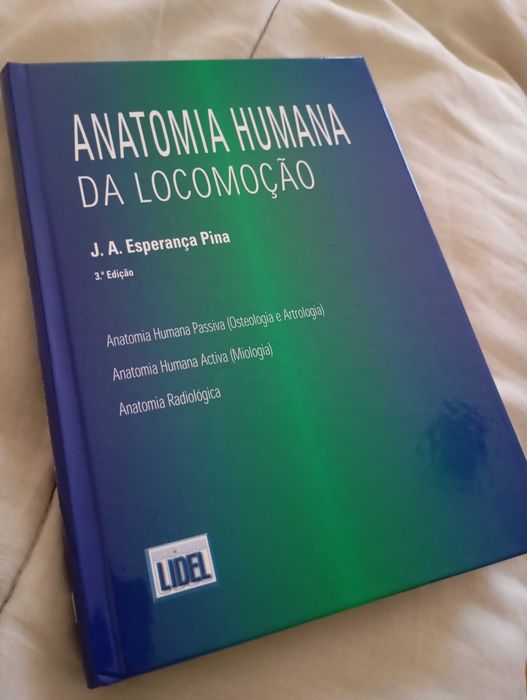 Anatomia humana da locomoção