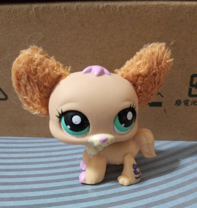 Piesek LPS figurka chihuahua nr 2514