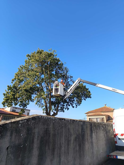 Aluguer e serviços em altura com grua / cesto elevatório até 14m
