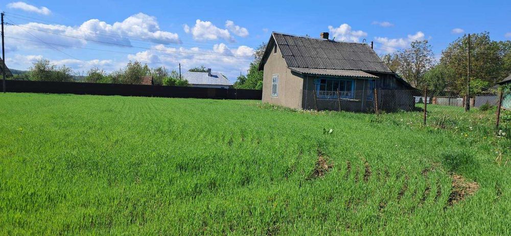 продається господарство
