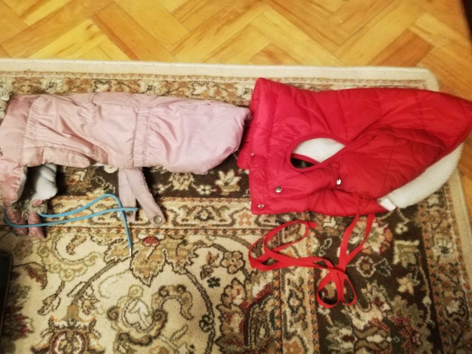 Sprzedam dwie kurteczki dla pieska