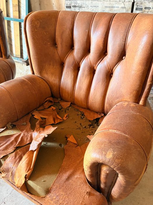 Poltronas Vintage