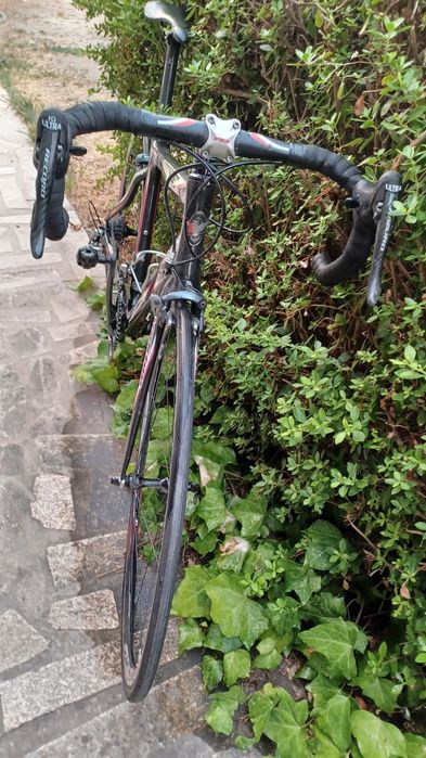 Bicicleta estrada carbono Vektor