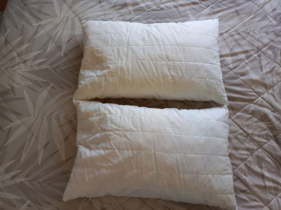 2 Almofadas 50cm por 80cm