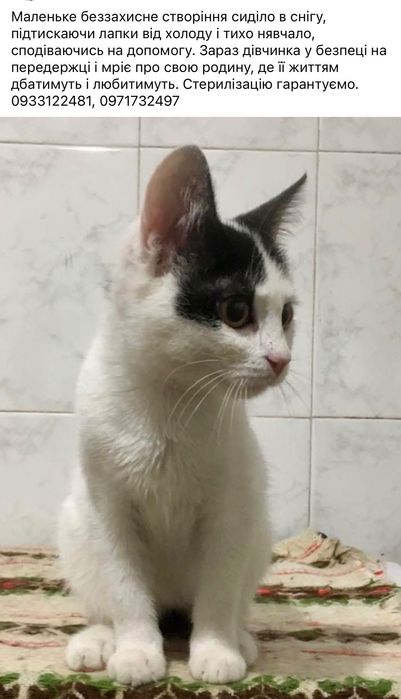 вона терміново потребує люблячої родини