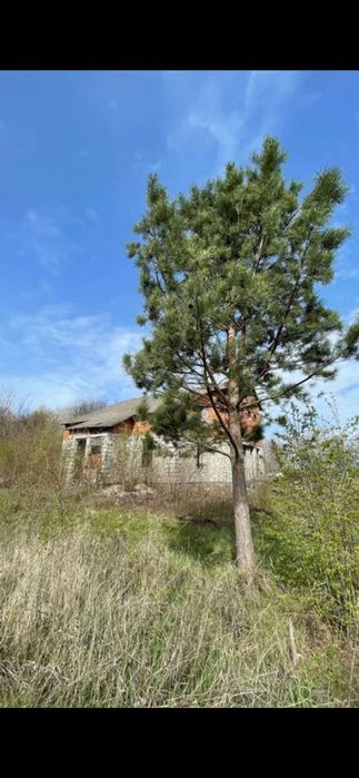 Земельна ділянка