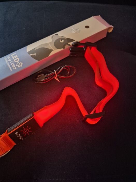 Obroża led, ładowana USB