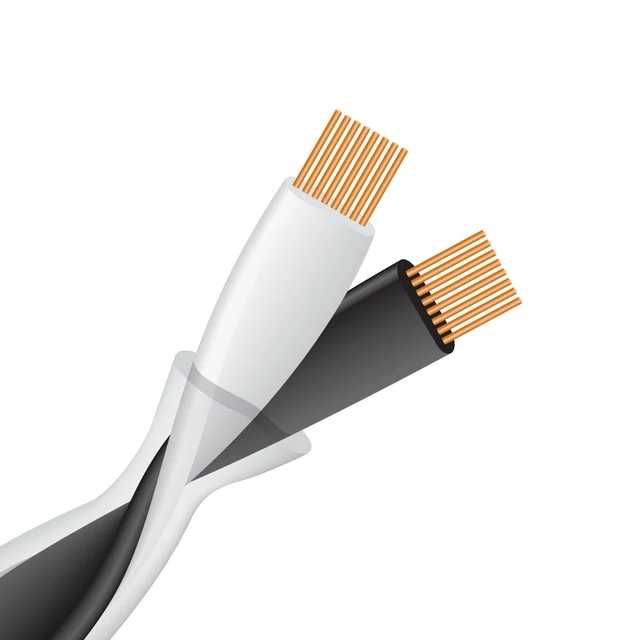 Wireworld HELICON 16x OCC 10 Spk Cable2x2M (Banan-Banan) kabel głośnikowy