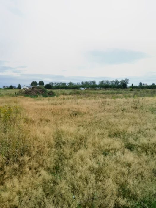 Dwie działki ul.Podmiejska Koszalin - Widok 3