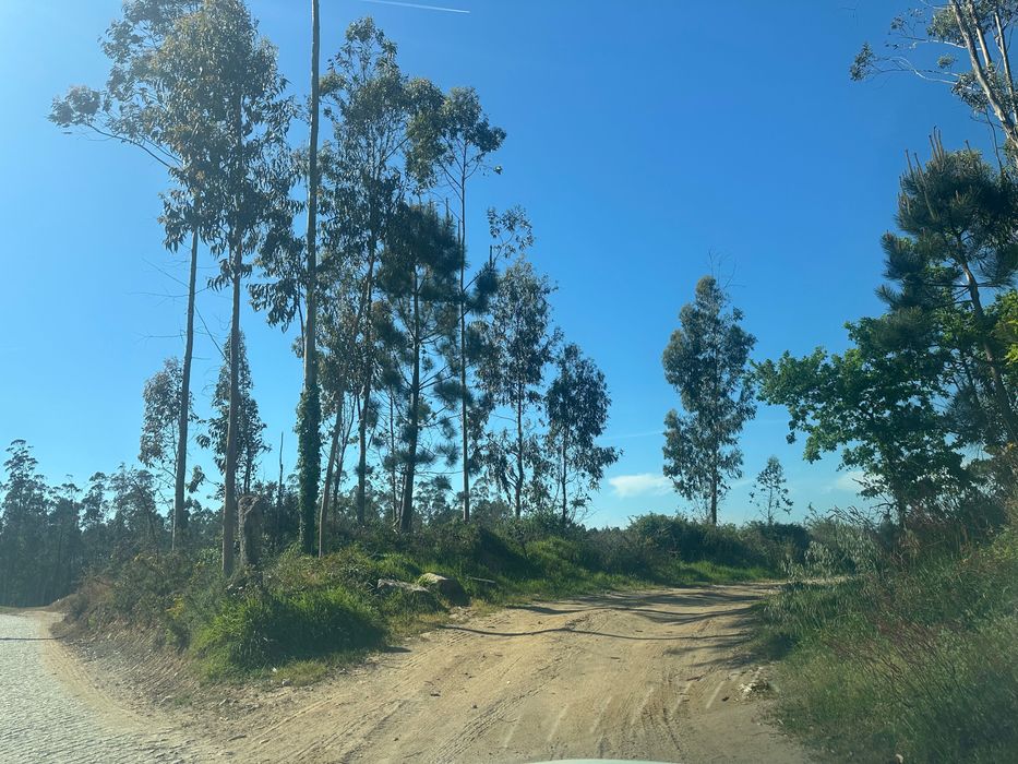 Terreno 6000m² em Vilar – Vila do Conde | Zona Industrial