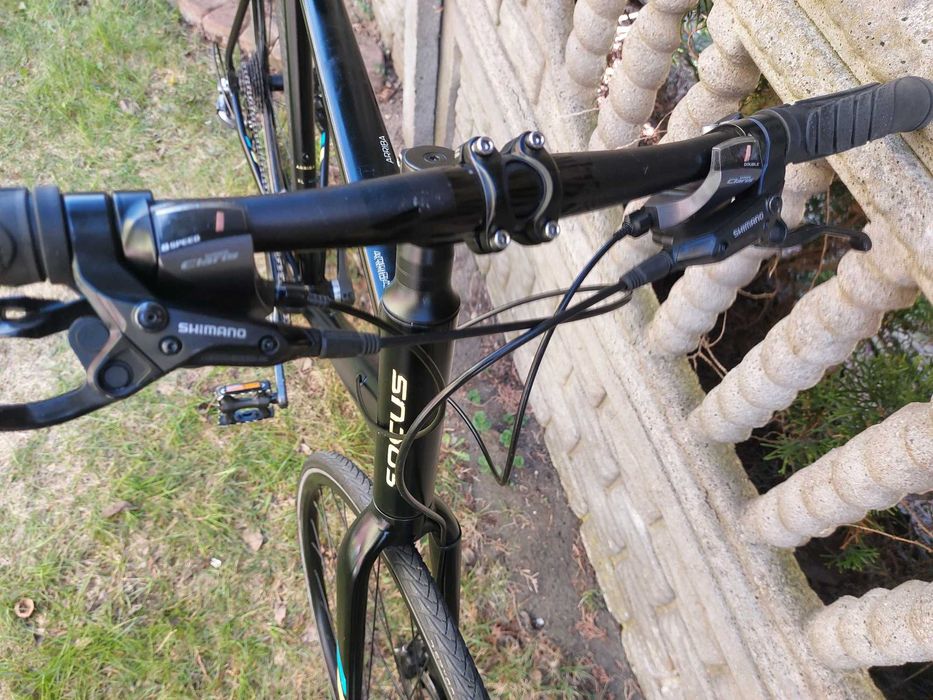 Rower Focus Arriba - rama 60cm