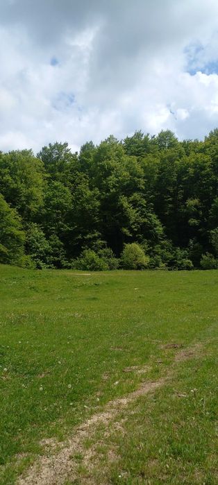 продам земельну ділянку в мальовничому Закарпатті