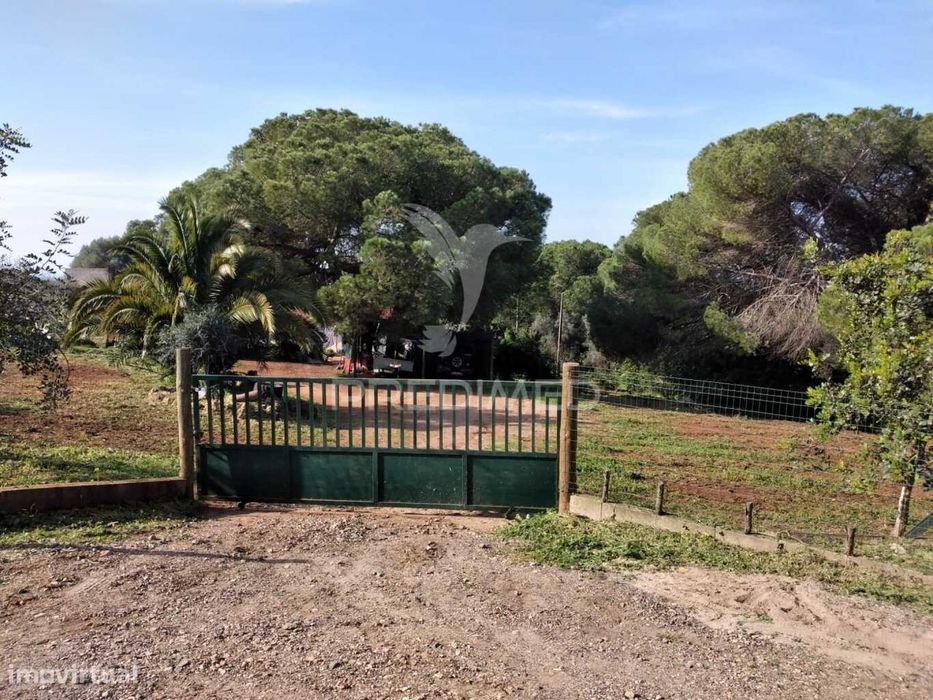 Quintinha com 6723m2 em Santiago do Cacém — Santiago Do Cacém, Santa Cruz E São Bartolomeu Da Serra, Setúbal