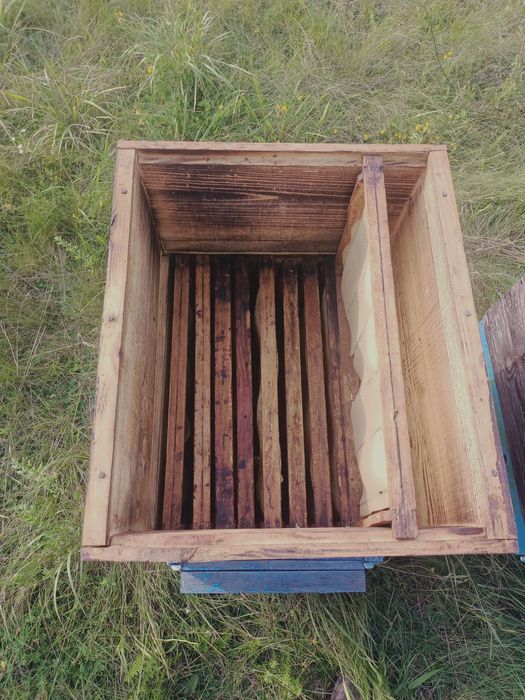 Sprzedam ule dadanta