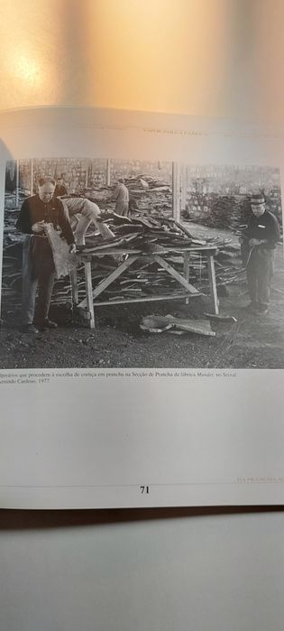 Água, Fogo, Ar, Cortiça (Seixal, 2002) | Exposição temática Fotografia