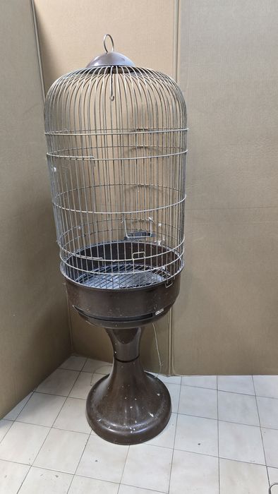 Gaiola de papagaio usada