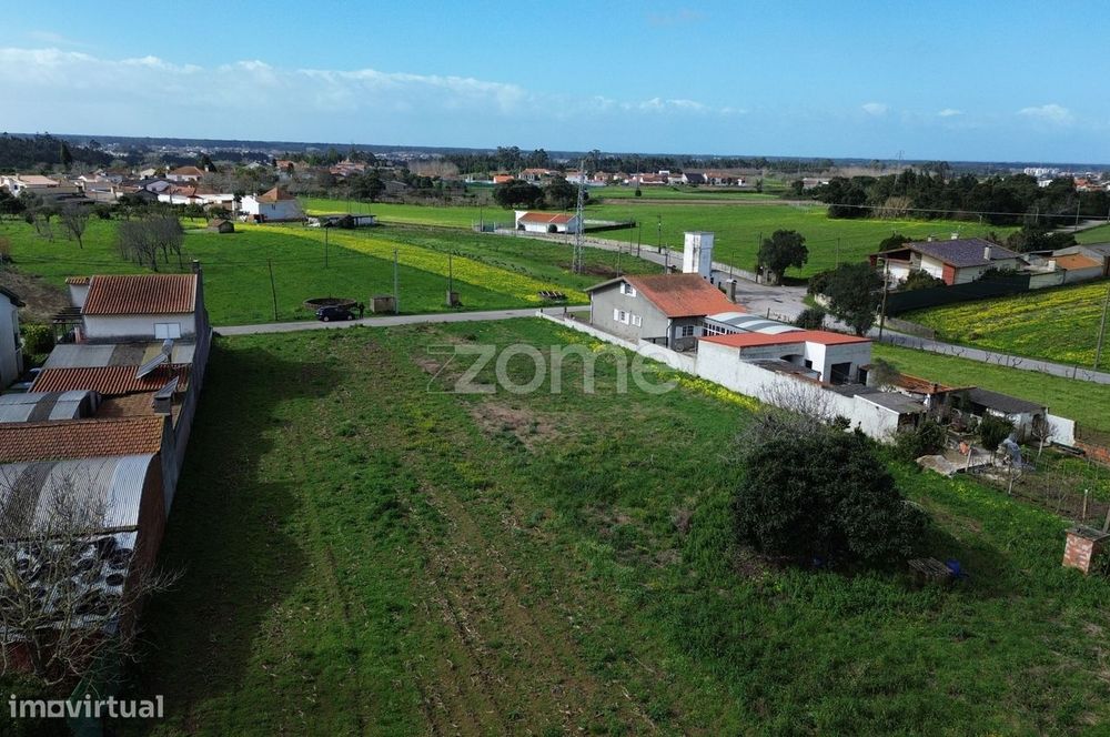 Terreno para moradia isolada ou 2 moradias geminadas_1900m2_Vagos