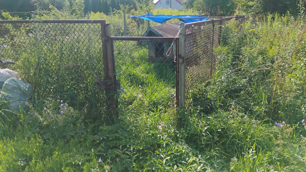 Kojec dla psa z budą