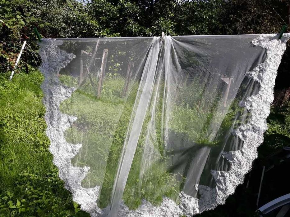 koronkowy welon ok. 130cm