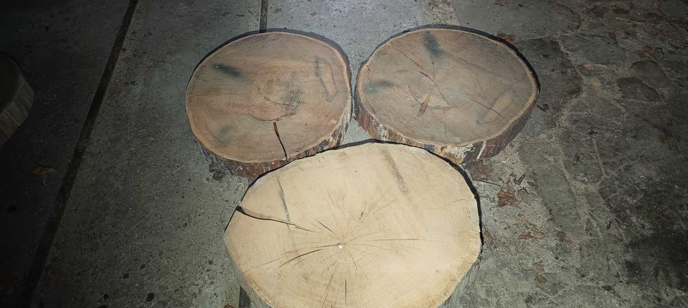 Plastry krążki blaty na stolik kawowy 60cm x10cm