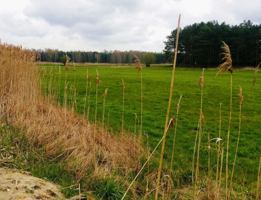 Wyjątkowa działka nad rzeką gmina Wolsztyn
