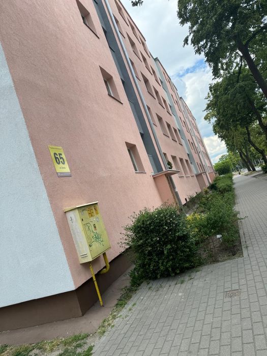 Zdjęcie 4