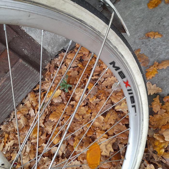 Rower damski Mexller Village Comfort Line