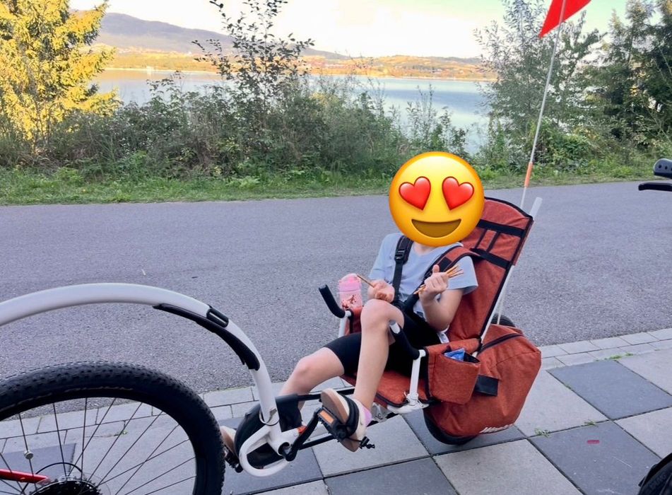 Przyczepka rowerowa Weehoo Thrill