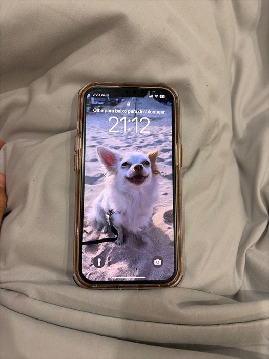 iPhone 13 / 256 gb