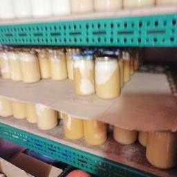 Miód z własnej pasieki