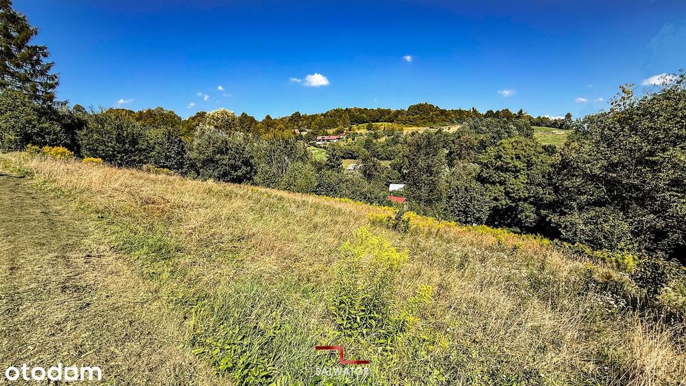 Widokowa na las 15 ar Paczółtowice gm. Krzeszowice - Widok 3
